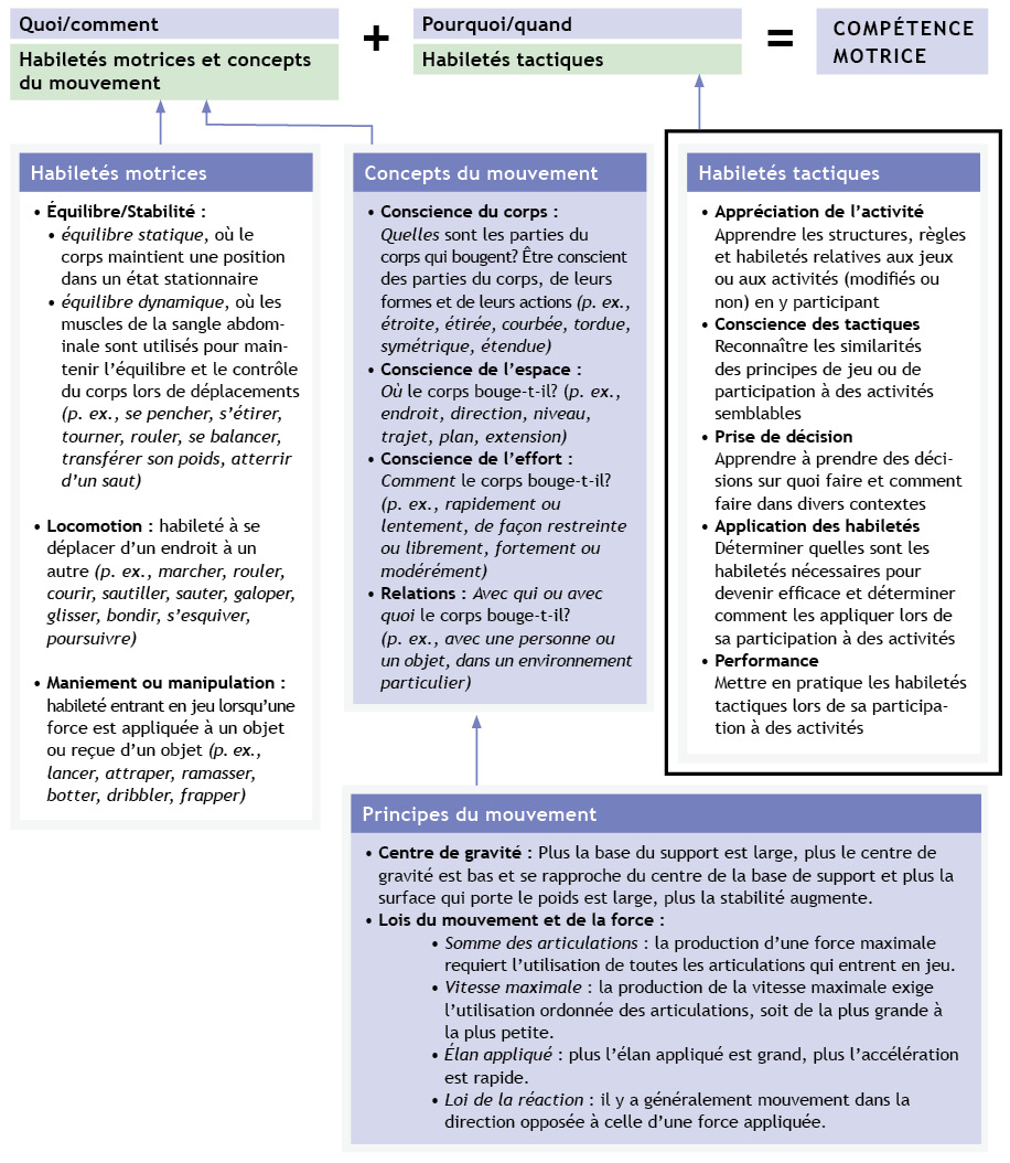 Figure 3 : Composantes du processus d’enquête dans les habiletés motrices, concepts du mouvement et tactiques